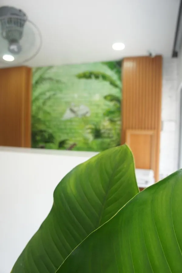 Mariposa Hostel Da Nang 0*,